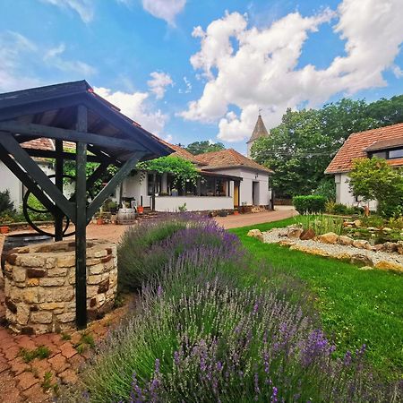 Ferienwohnung Videki Haz Tagyon Exterior foto