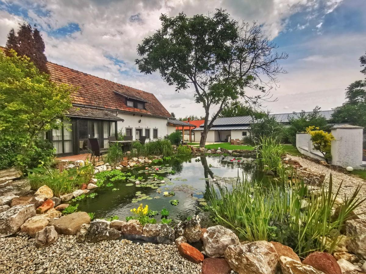 Ferienwohnung Videki Haz Tagyon Exterior foto