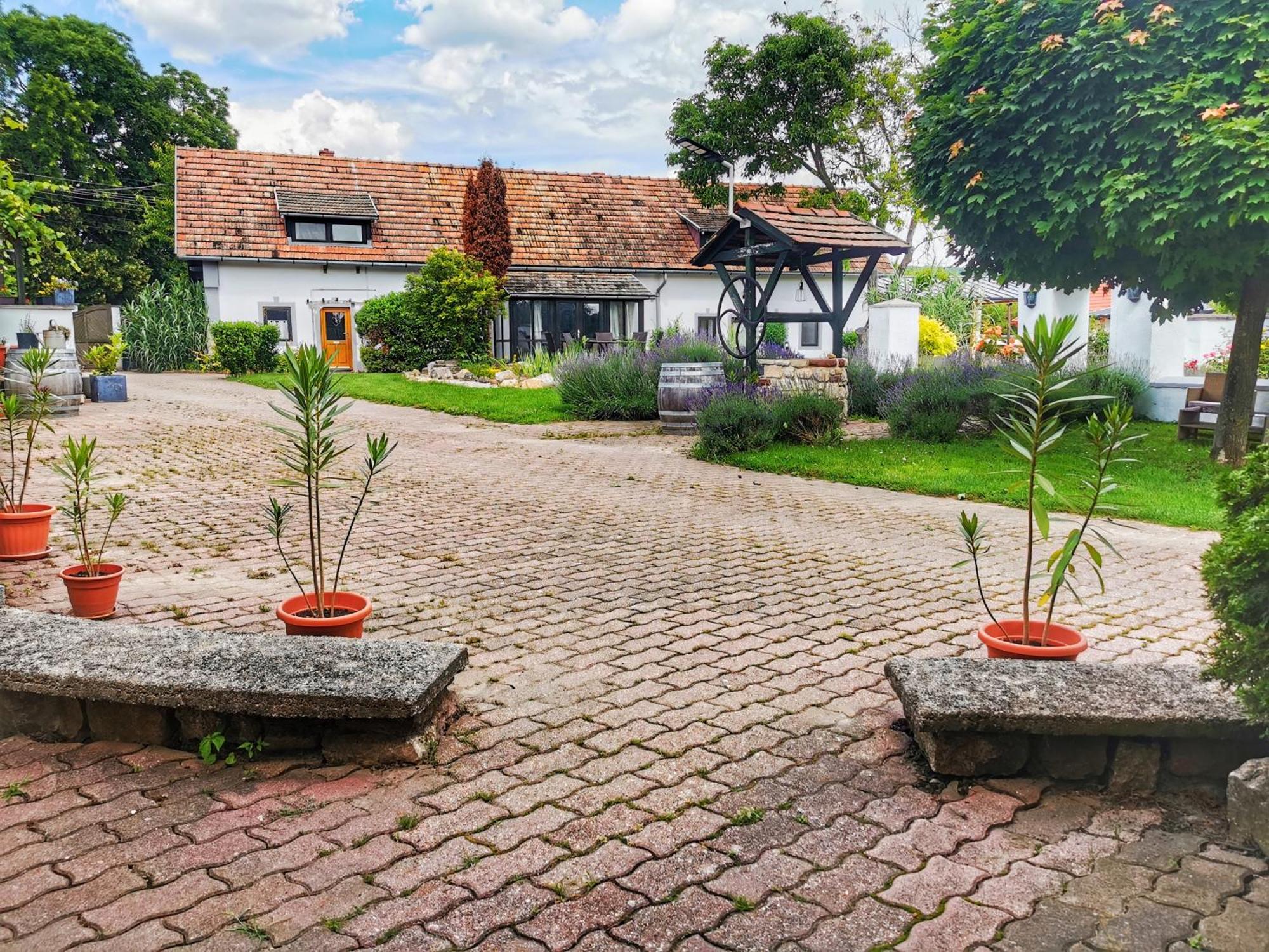 Ferienwohnung Videki Haz Tagyon Exterior foto