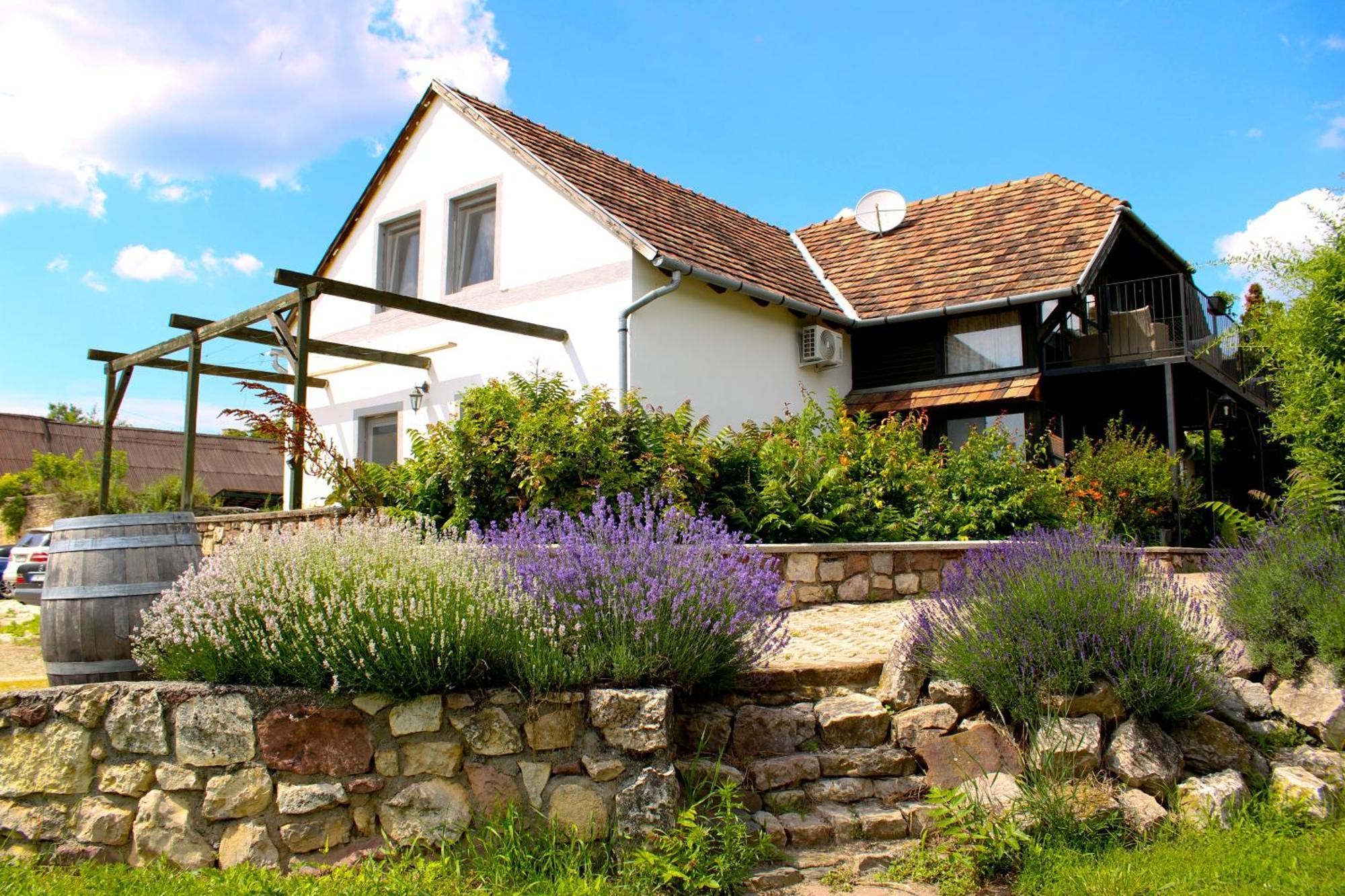 Ferienwohnung Videki Haz Tagyon Exterior foto